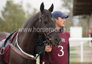 Kategorie: Avenches, 10.10.2015 (Araber)